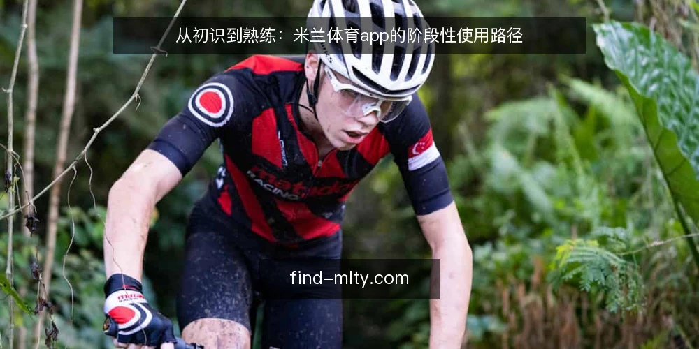 从初识到熟练：米兰体育app的阶段性使用路径 — 使用前的基线确认：明确需求与边界 配图